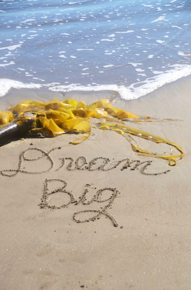 Dream big - freelancing
