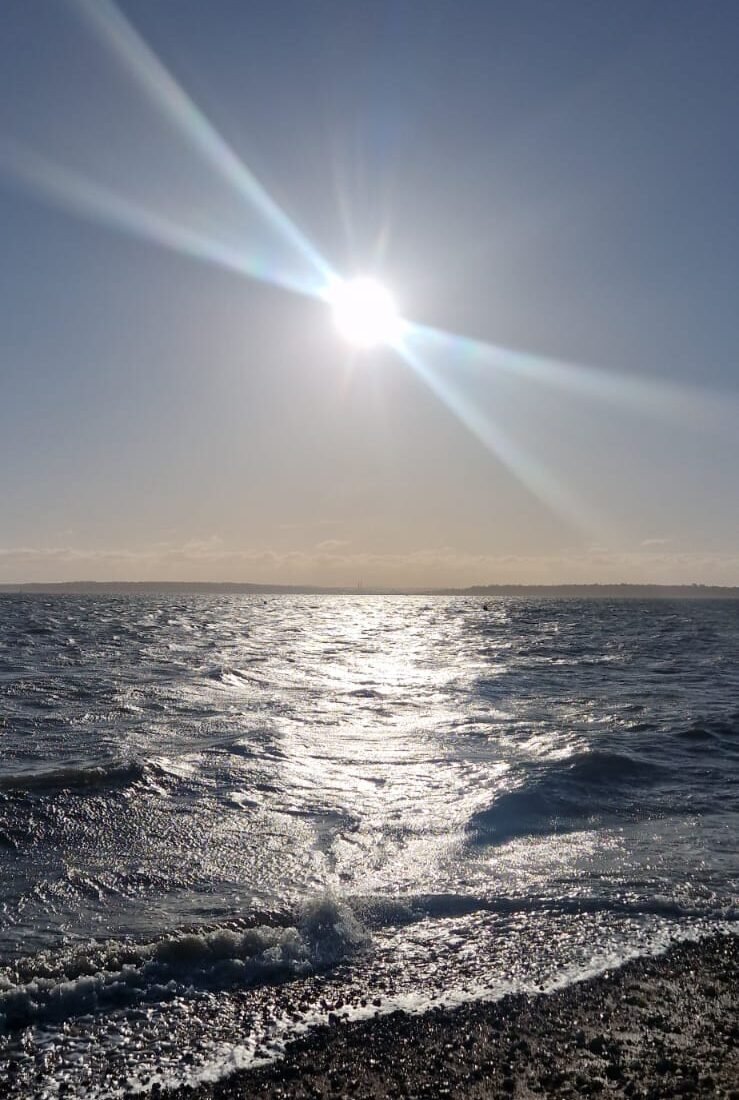 Courses for freelancers with Laura Bean and Creative Little World